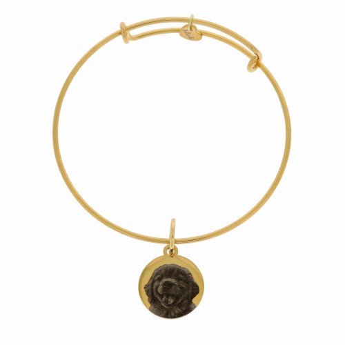 bransoletka obręcz z grawerem ze zdjęcia Twojego psa stal pozłacana