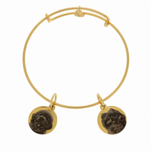 bransoletka pozłacana obręcz z grawerem ze zdjęcia twoich psów zawieszki