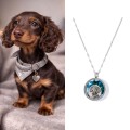 Naszyjnik ze zdjęciem dziecka psa lub kota – sekretnik grawer pupila prezent